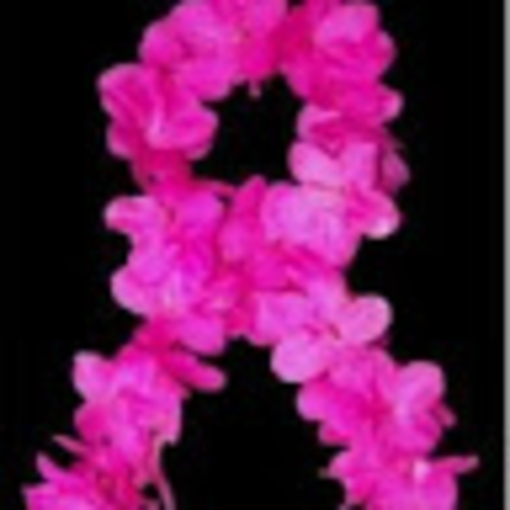 Meet your Posher, Ivy